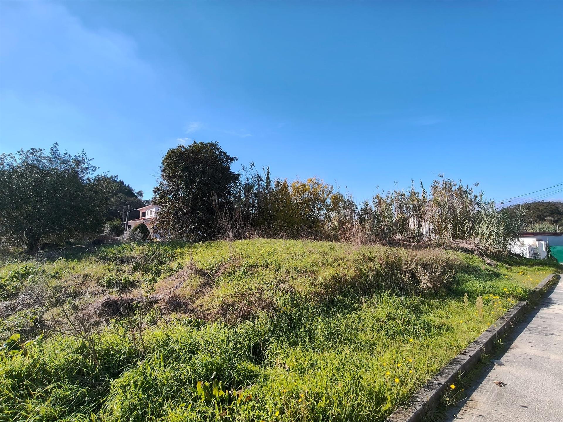 Terreno / Construção / Vale de Frade / Marrazes e Barosa / Leiria