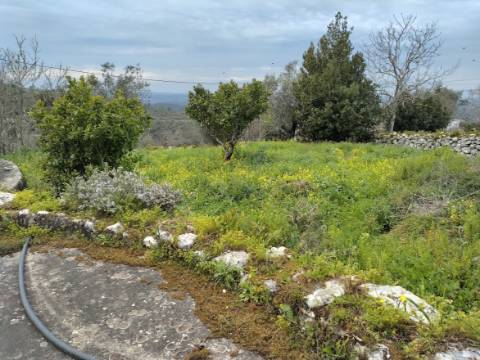 Moradia T2 com terreno em Pousadas Vedras / Redinha / Pombal