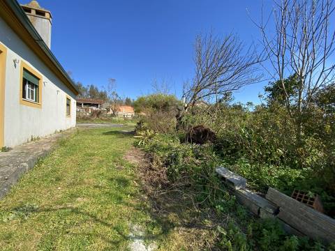 Arrendamento / Moradia T2 / Garagem / Terraço/ Terreno / Ortigosa / Leiria