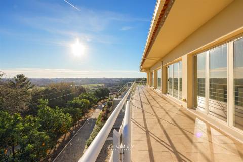 Moradia T6 Com Piscina &#124; Alquerubim, Albergaria-A-Velha