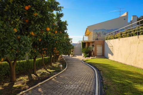 Moradia T6 Com Piscina &#124; Alquerubim, Albergaria-A-Velha