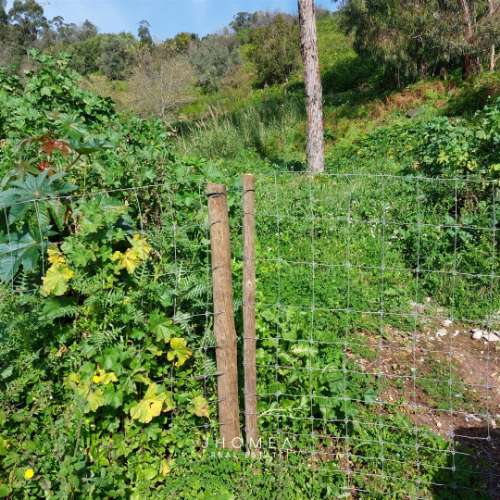 Terreno Rústico com 1,952 ha, Caneças, Odivelas