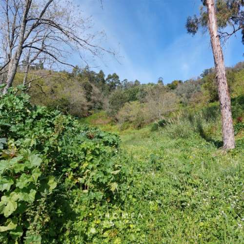 Terreno Rústico com 1,952 ha, Caneças, Odivelas