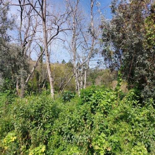 Terreno Rústico com 1,952 ha, Caneças, Odivelas