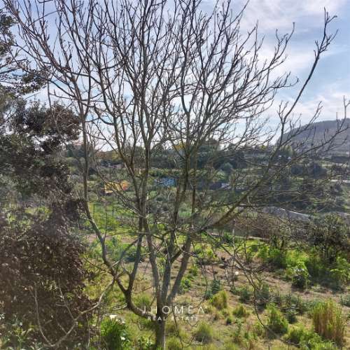 Terreno Rústico com 1,952 ha, Caneças, Odivelas