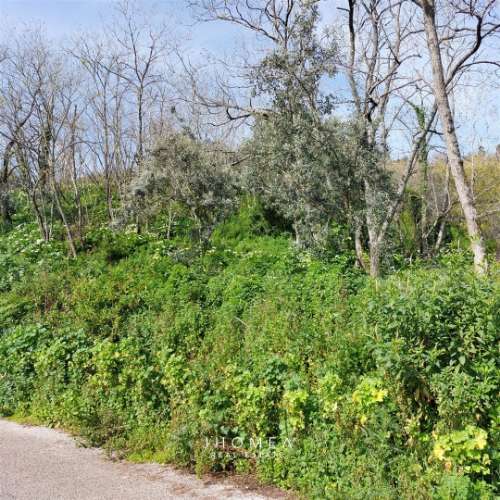 Terreno Rústico com 1,952 ha, Caneças, Odivelas