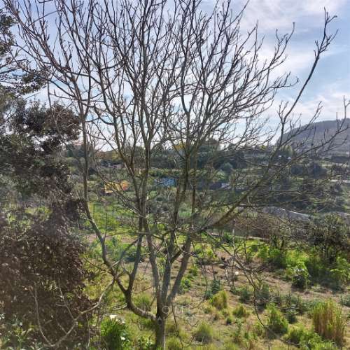 Terreno Rústico com 1,952 ha, Caneças, Odivelas