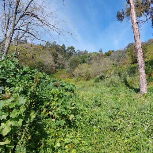 Terreno Rústico com 1,952 ha, Caneças, Odivelas