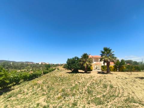 Moradia T3 Vila Nova de Foz Côa