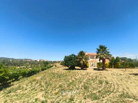 Moradia T3 Vila Nova de Foz Côa