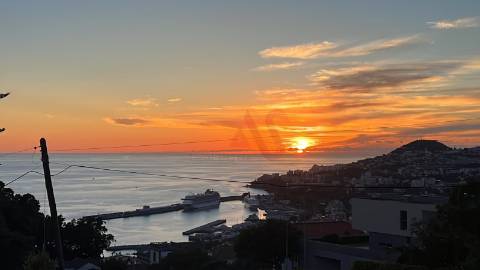 Moradia T3 com piscina infinita em Santa Maria Maior, Funchal