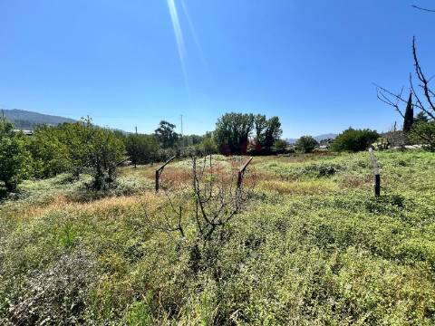 Terreno com 6.715 m² para Construção de Prédio com 3 Andares em Infias, Vizela