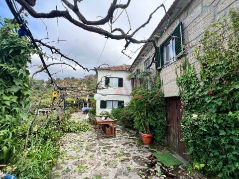Moradia T3 em estilo Rústico em Oliveira do Douro, Cinfães