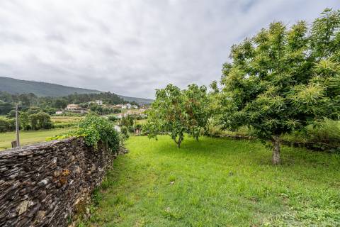 Quintinha T3 em Caminha, com cerca de 1.500 m² de Terreno
