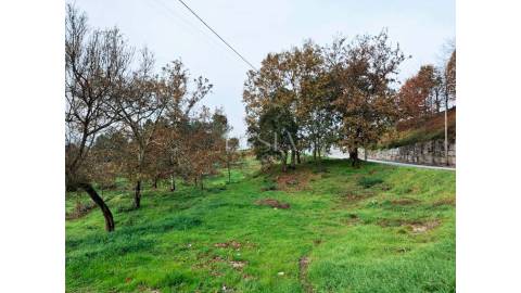 Terreno em Zona Nobre de Amarante com PIP Aprovado para 59 Apartamentos