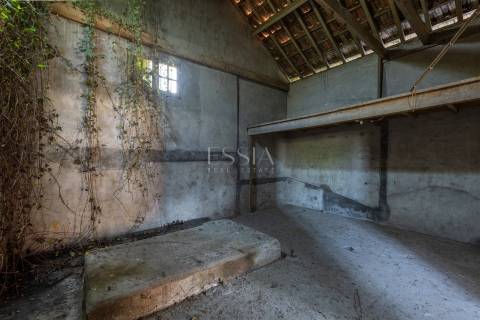 Terreno Urbano em Rio Tinto