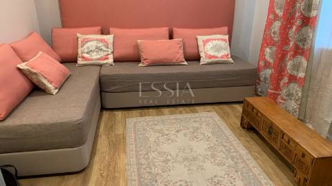 Moradia T3 com Jardim à Praça das Flores com Licença AL