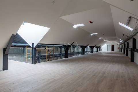 Edifício para arrendamento em Bairro histórico da cidade do Porto - Cedofeita