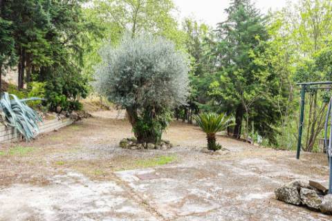 Quinta em pleno vale do Tua