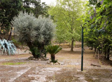 Quinta em pleno vale do Tua