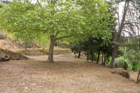 Quinta em pleno vale do Tua