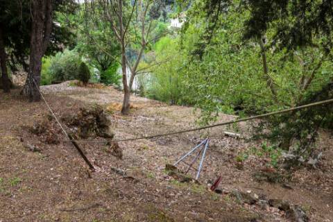 Quinta em pleno vale do Tua