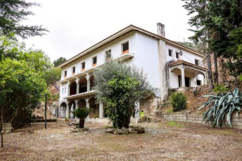 Quinta em pleno vale do Tua