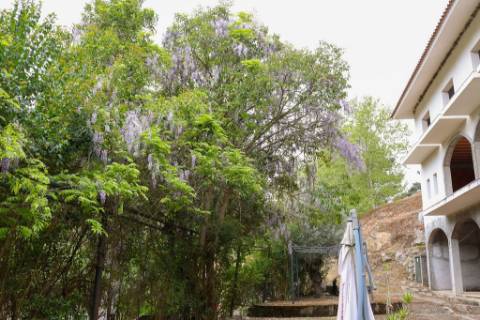 Quinta em pleno vale do Tua