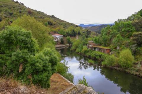Quinta em pleno vale do Tua