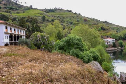 Quinta em pleno vale do Tua