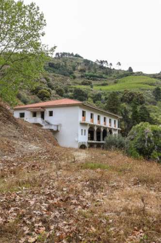 Quinta em pleno vale do Tua