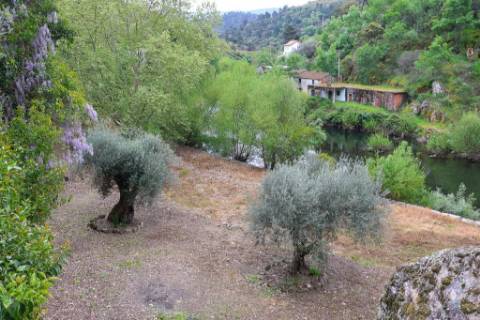 Quinta em pleno vale do Tua