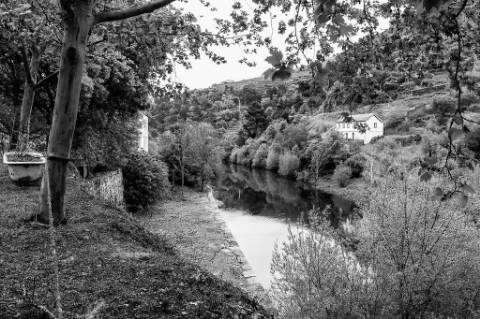 Quinta em pleno vale do Tua