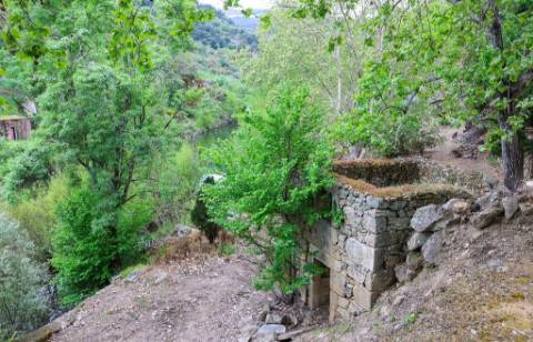 Quinta em pleno vale do Tua