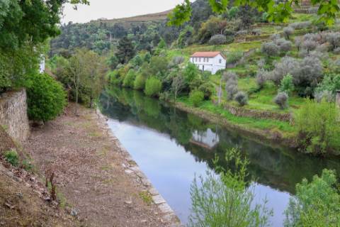 Quinta em pleno vale do Tua