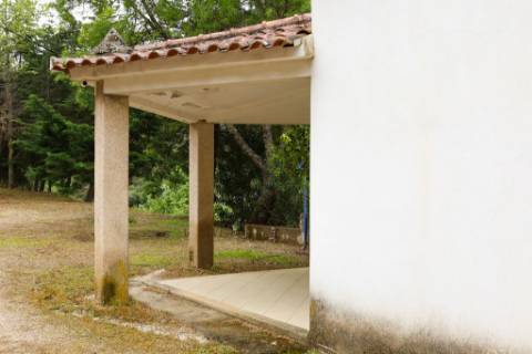 Quinta em pleno vale do Tua