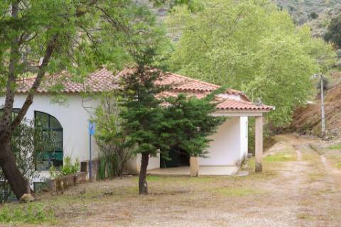 Quinta em pleno vale do Tua