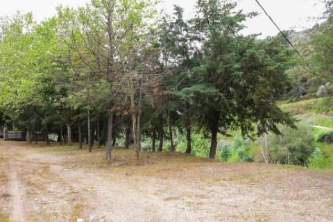 Quinta em pleno vale do Tua