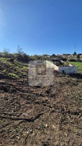 Herdade de 5 hectares em Vilar do Paraíso, Vila Nova de Gaia