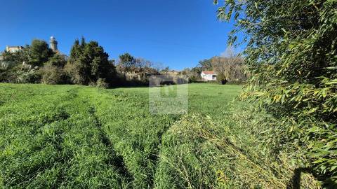 Herdade de 5 hectares em Vilar do Paraíso, Vila Nova de Gaia