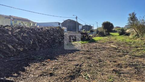 Herdade de 5 hectares em Vilar do Paraíso, Vila Nova de Gaia