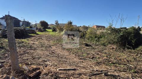 Herdade de 5 hectares em Vilar do Paraíso, Vila Nova de Gaia