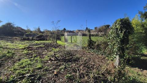 Herdade de 5 hectares em Vilar do Paraíso, Vila Nova de Gaia
