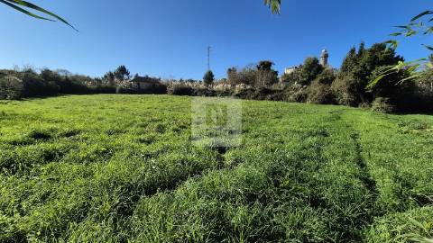 Herdade de 5 hectares em Vilar do Paraíso, Vila Nova de Gaia