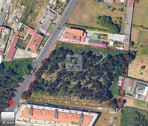 Terreno com PIP aprovado para construção em altura na Rua do Pinhal em Canelas