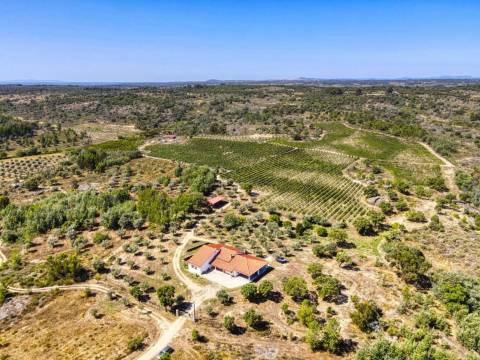 Quinta na Aldeia da Lousa - Castelo Branco
