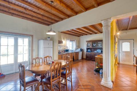 Quinta na Aldeia da Lousa - Castelo Branco