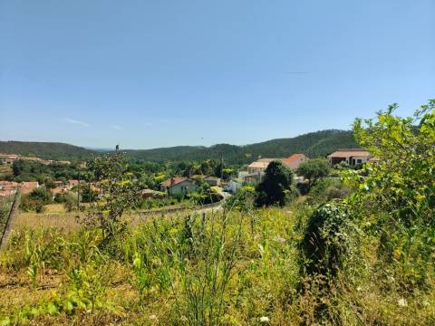 Terreno para venda  em  Albergaria-a-Velha.
