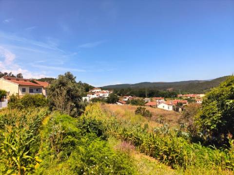 Terreno para venda  em  Albergaria-a-Velha.