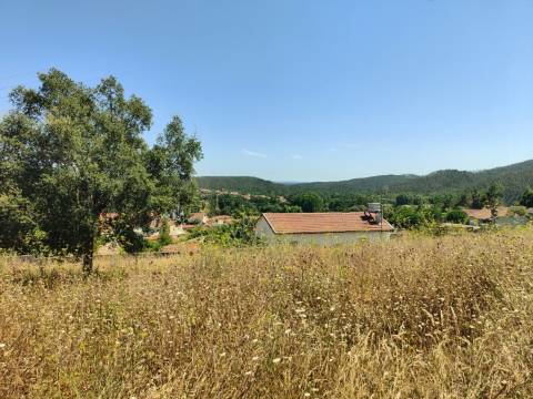 Terreno para venda  em  Albergaria-a-Velha.
